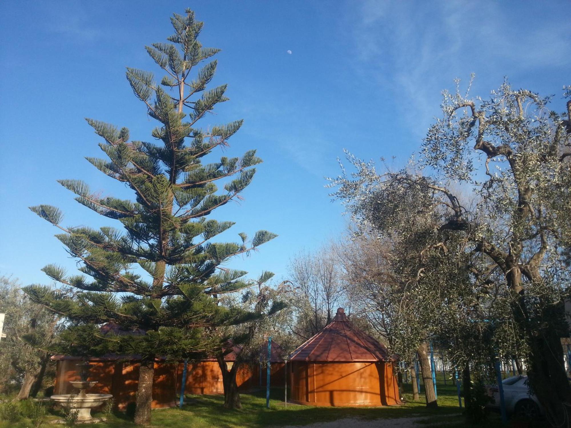 Mattinata Camping Exteriör bild